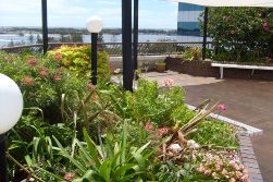 outdoor area 4 at AICOL  English language school